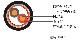 Non Armored TR2031 TRAFFIC CONTROL CABLE